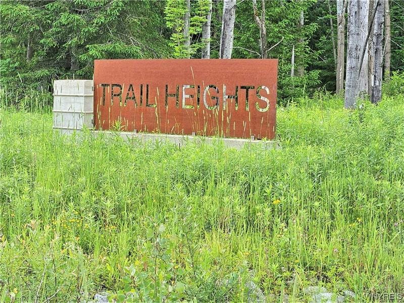4 TRAIL HEIGHTS ROAD, Ellicottville, NY 14731 Single Family Residence For Sale  MLS# B1480282