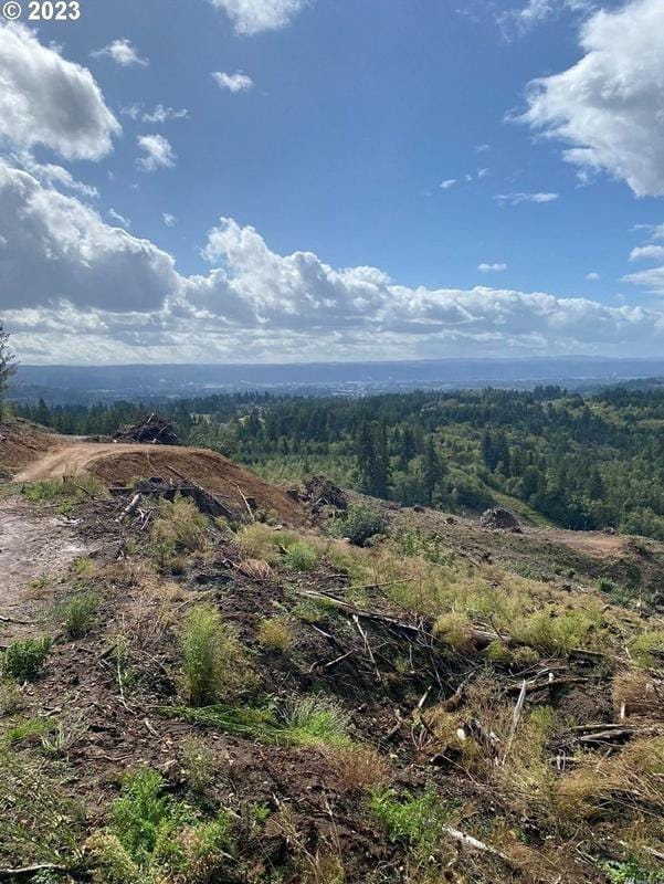 0 Brusset Rd, Kelso, WA 98626 - MLS 23264027 for Sale