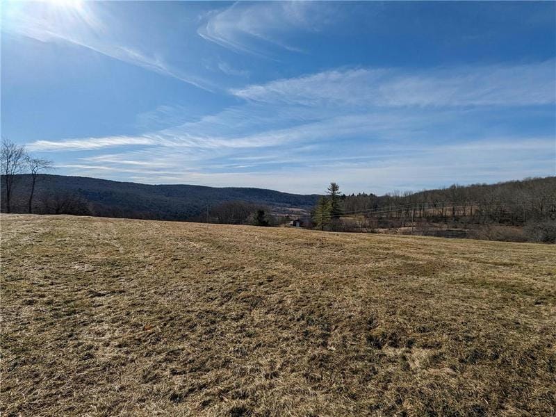 0 DRIFT HILL ROAD, Jefferson, NY 12175 Single Family Residence For Sale  MLS# R1525019