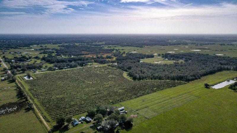 Wauchula, Hardee County, FL Farms and Ranches for sale Property ID: 418650698