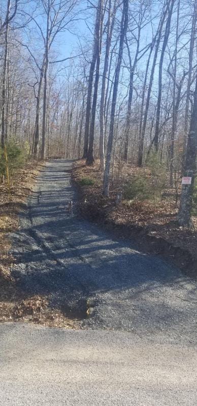 0 County Road 179, Decatur, TN 37322 for Sale