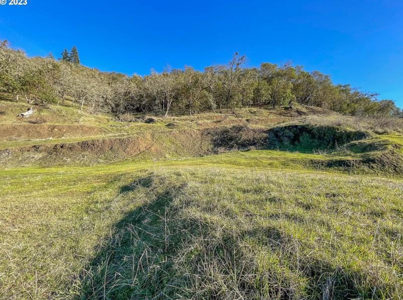 747 N View Dr, Winchester, OR 97495 - MLS 23460549 for Sale