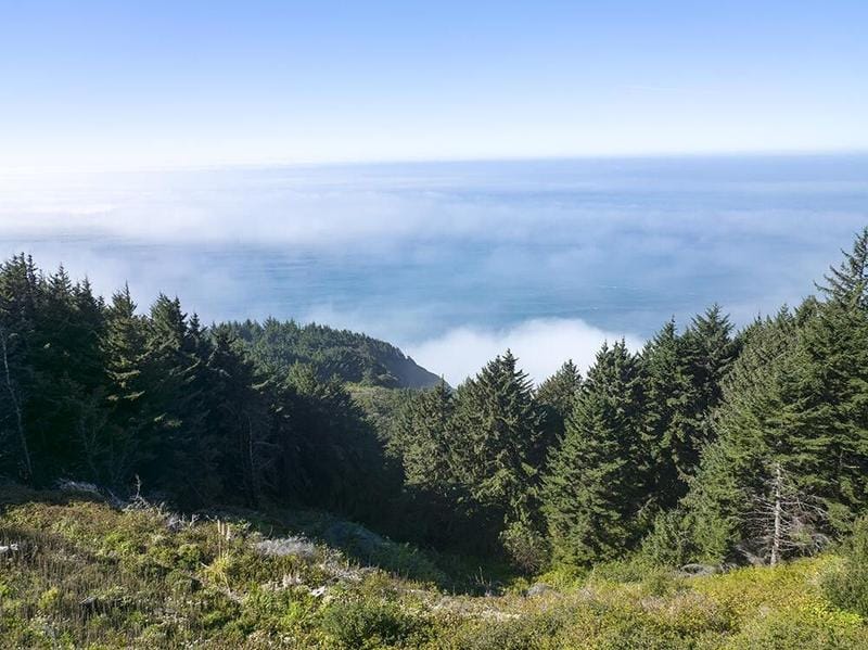 Gold Beach, Curry County, OR Farms and Ranches, Homesites for sale Property ID: 418114589
