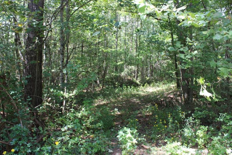 Holly Springs, Marshall County, MS Recreational Property, Hunting Property for sale Property ID: 417669563