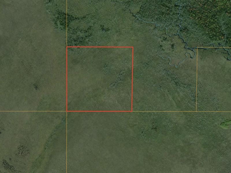 Pine Stump Junction, Luce County, MI Recreational Property, Undeveloped Land, Hunting Property for sale Property ID: 418651282