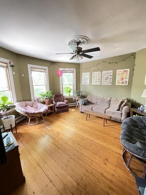 4 bedroom in Boston MA 02120 for Rent