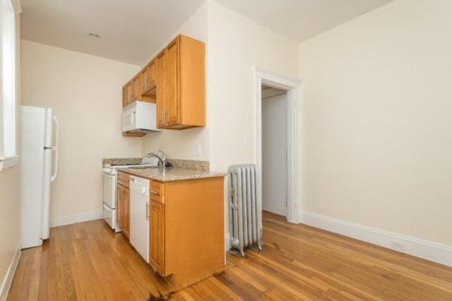 1 bedroom in Brighton MA 02135 for Rent