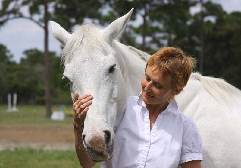 Room for me, Stall for my horse for Rent