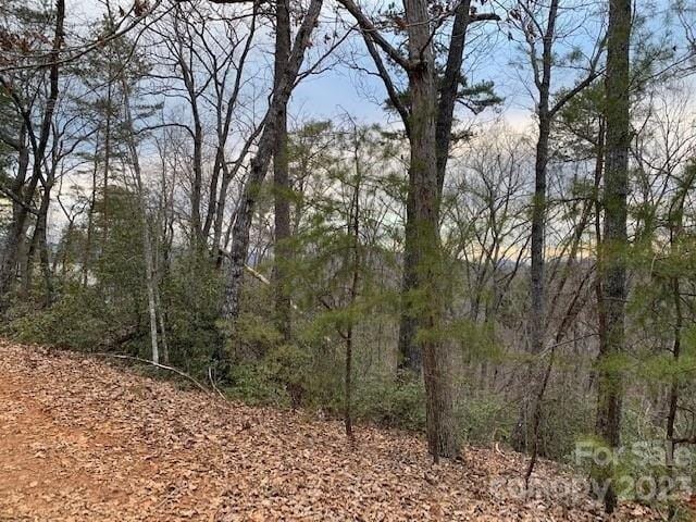 In Lake Lure NC 28746 for Rent