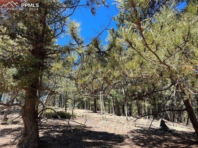 In Divide CO 80814 for Rent