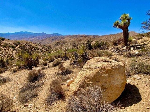 In Morongo Valley CA 92256 for Rent