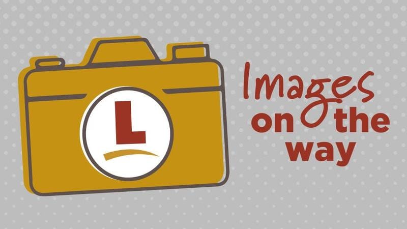 2024 Viking Viking 4K Series 18FQ for Sale