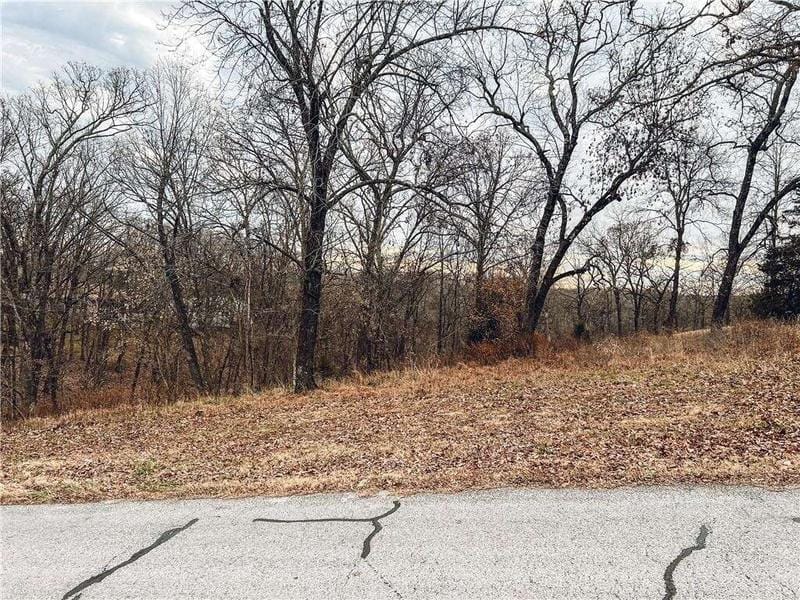 14995 Dutchmans DR, Rogers, AR 72756  614446508 for Sale