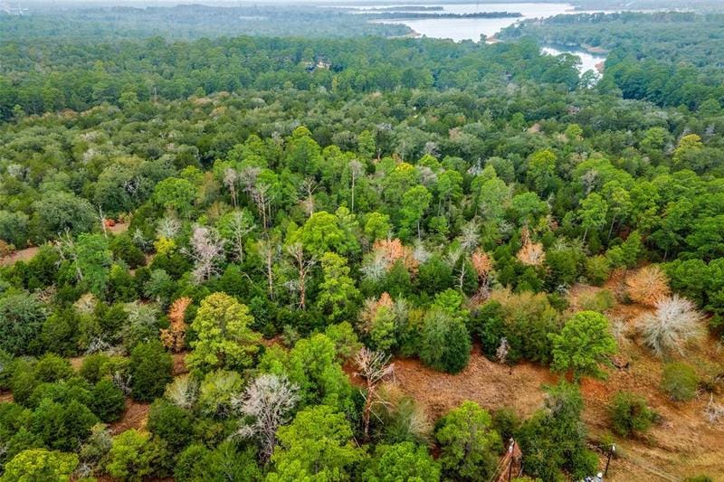000 Oleander Dr, Bastrop, TX 78602 for Sale