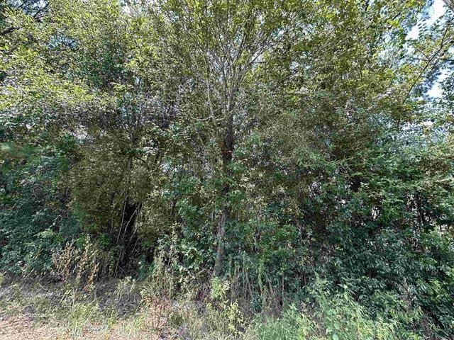 Lot 3 Oleander, Lumberton, TX 77657 for Sale