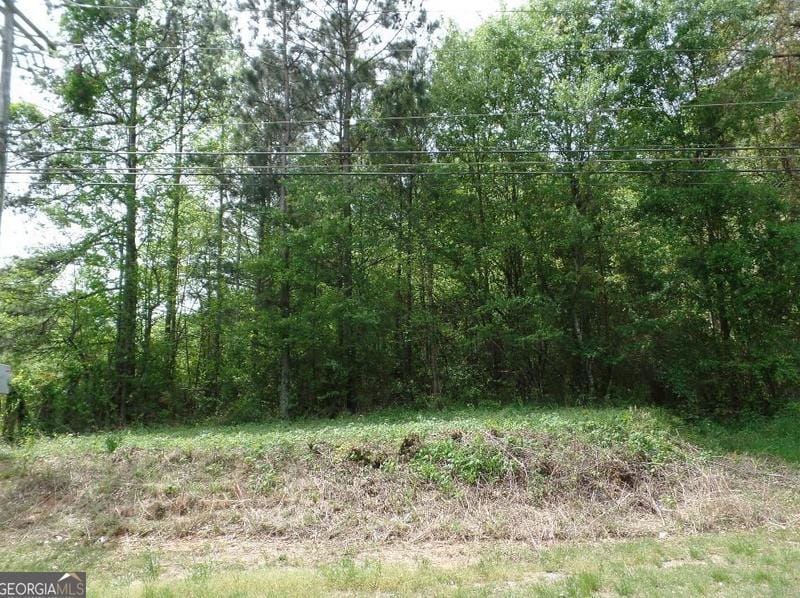 3098 Hwy 154, Newnan, GA 30265 - MLS 20170939 for Sale