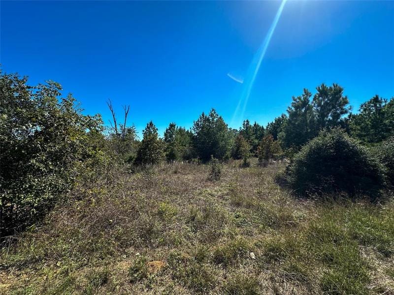 Lot 51 High Timbers Rd, Bastrop, TX 78602 for Sale
