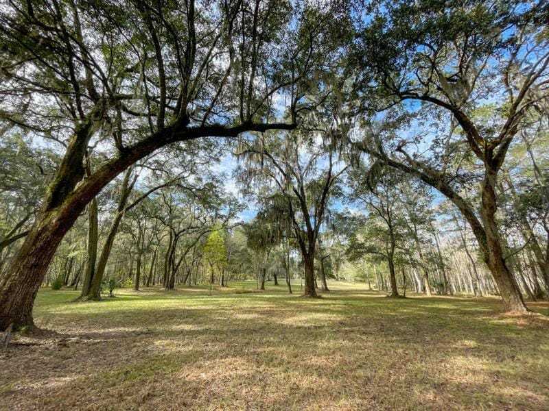 1700 LIBERIA RD, Wadmalaw Island, SC 29487 Land For Sale  MLS# 23026689