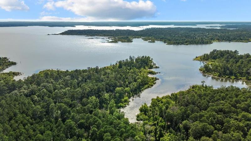 00 County Divide Rd, Pineland, TX 75968 for Sale