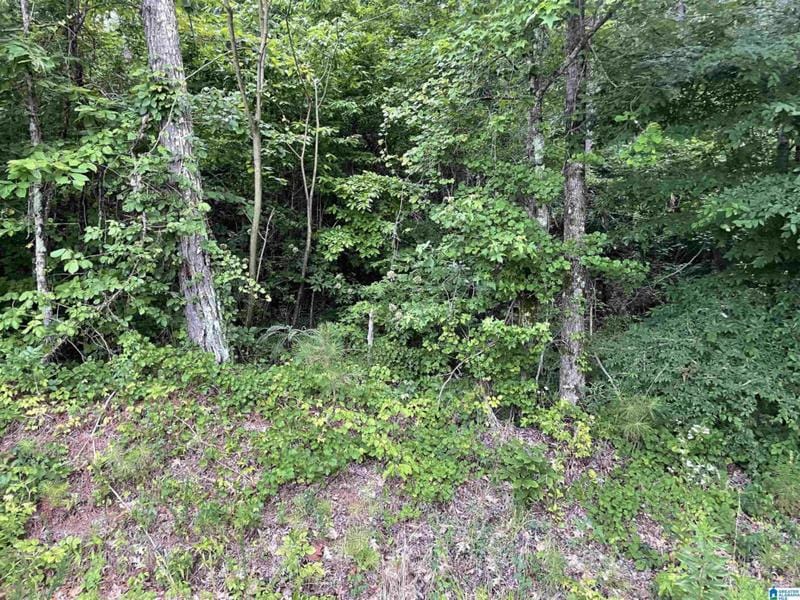 2256 DEANS FERRY RD # 4, WARRIOR, AL 35180 Land For Sale  MLS# 1357430