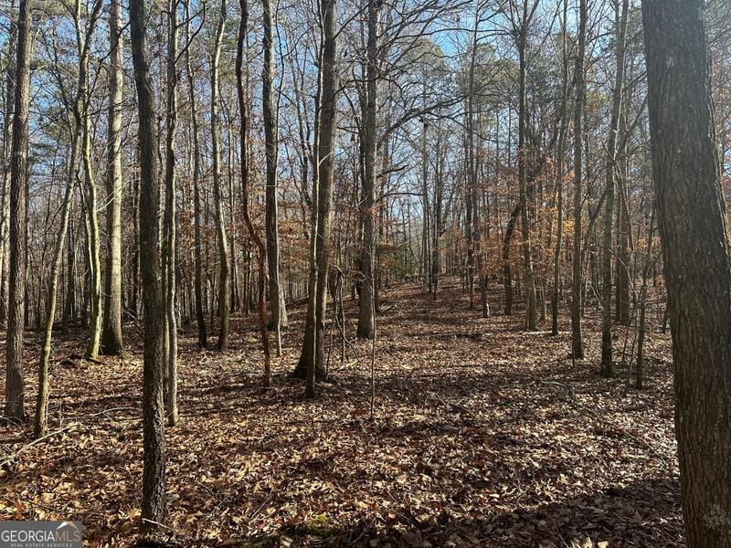 18-acres Dove Hill Road, Royston, GA 30662 for Sale