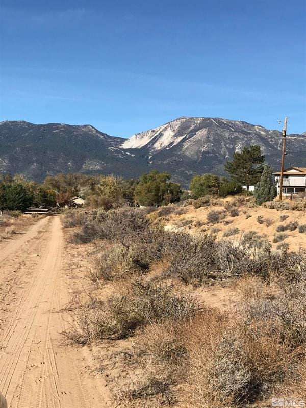 3160 Clark Drive, Washoe Valley, NV 89704 for Sale
