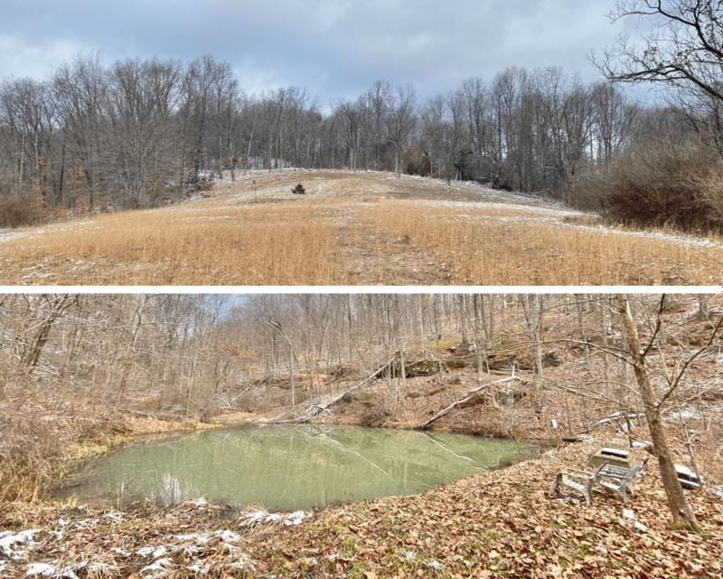 Aleppo, Greene County, PA Recreational Property, Undeveloped Land, Hunting Property for auction Property ID: 418635059 for Sale