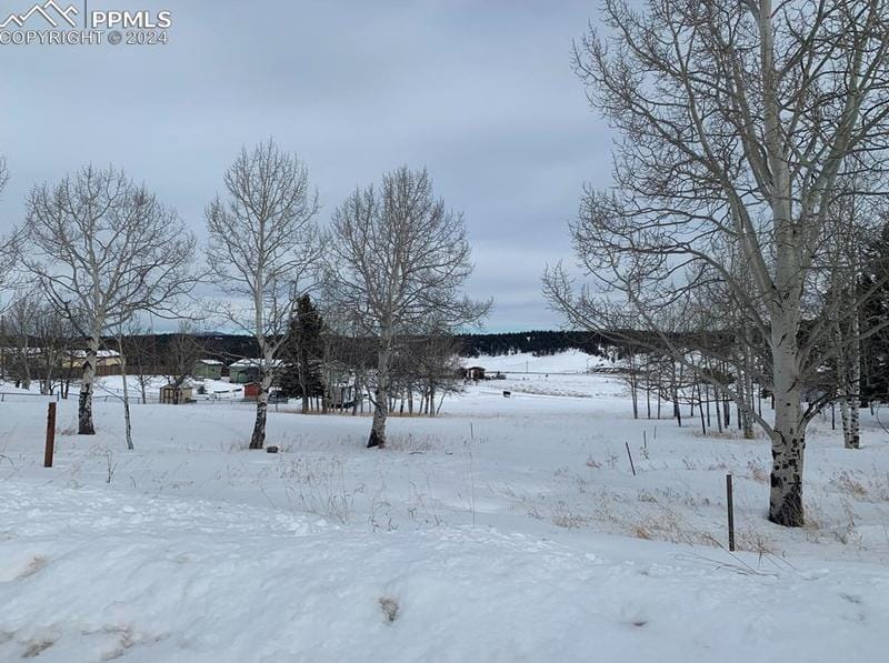247 Will Scarlet Dr, Divide, CO 80814 - MLS 5854228 for Sale