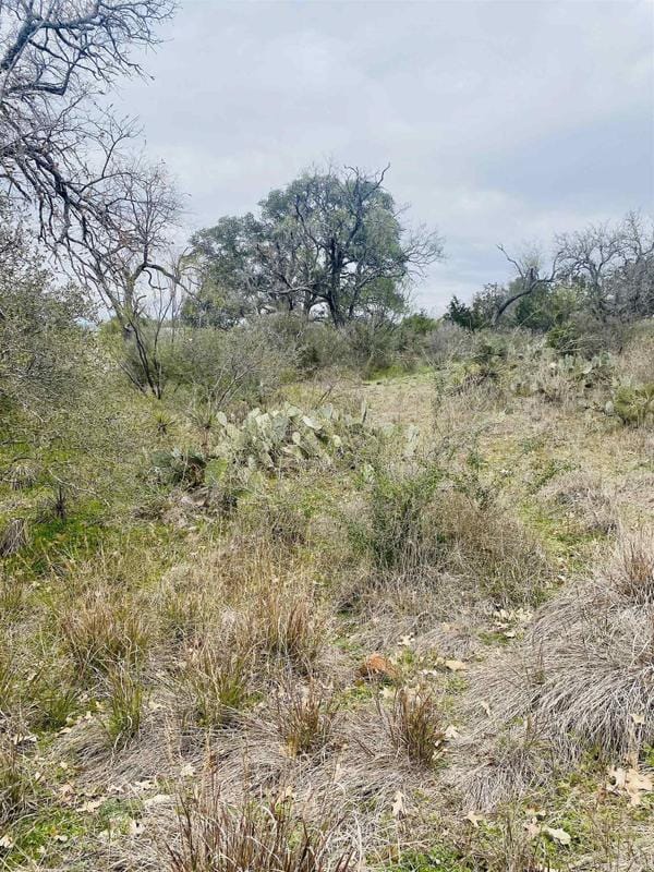 Burnet, Burnet County, TX Undeveloped Land, Homesites for sale Property ID: 418691661