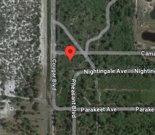 Sebring, Highlands County, FL Undeveloped Land, Homesites for sale Property ID: 418866812