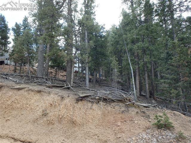 Woodland Park, Teller County, CO Undeveloped Land, Homesites for sale Property ID: 418606059