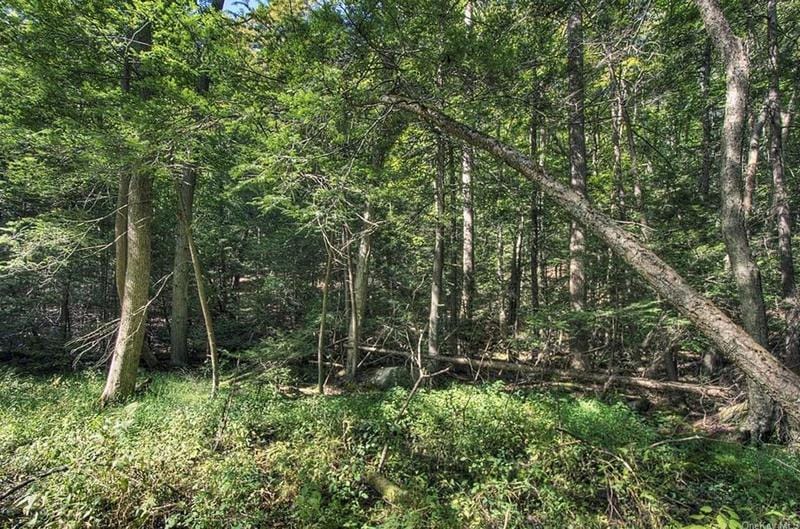 42 Buttermilk Falls Rd, Warwick, NY 10990 - MLS H6271171 for Sale