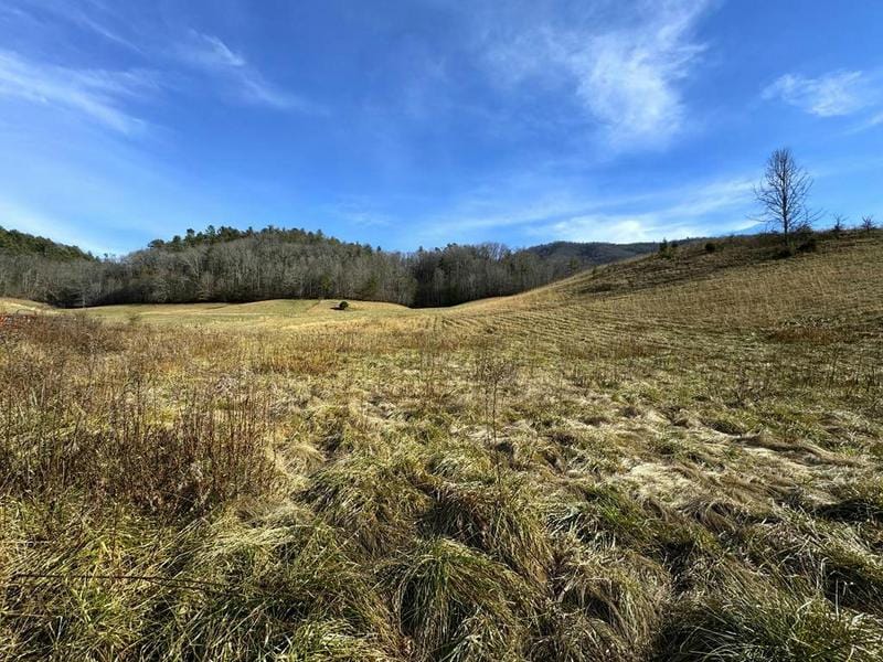 151 TIMBER RIDGE RD, Del Rio, TN 37727 Farm For Sale  MLS# 267827