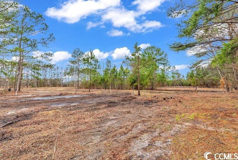 Loris, Horry County, SC Undeveloped Land, Homesites for sale Property ID: 418762987