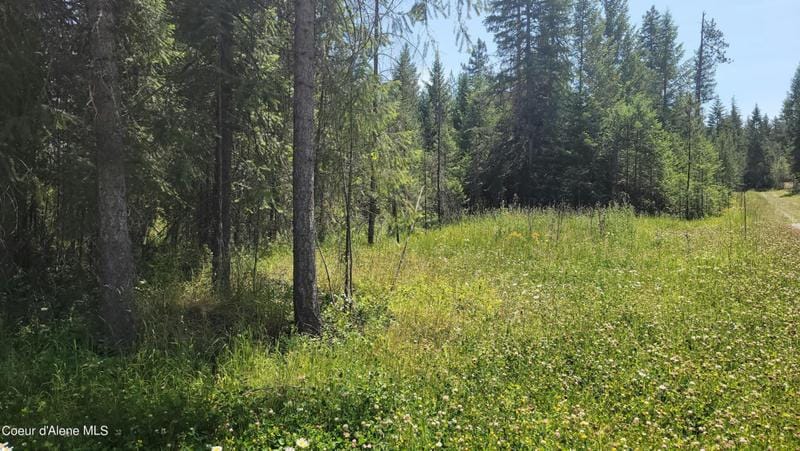 LOT 1 TRAILS END RD, Athol, ID 83801 Land For Sale  MLS# 23-10431