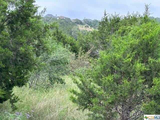 383 Cloudveil, New Braunfels, TX 78132 for Sale