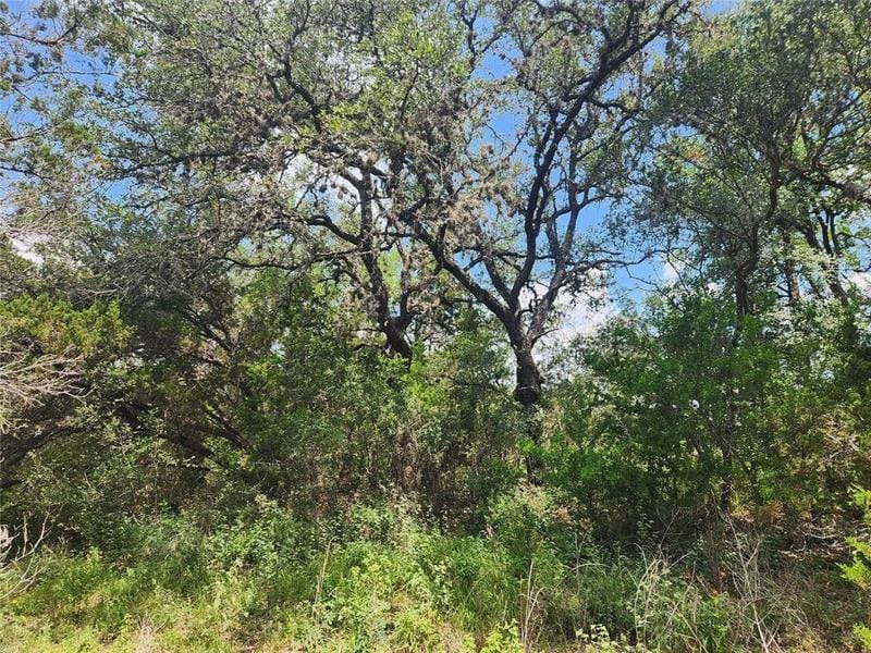 1700 Lime Kiln Rd #3, San Marcos, TX 78666 for Sale