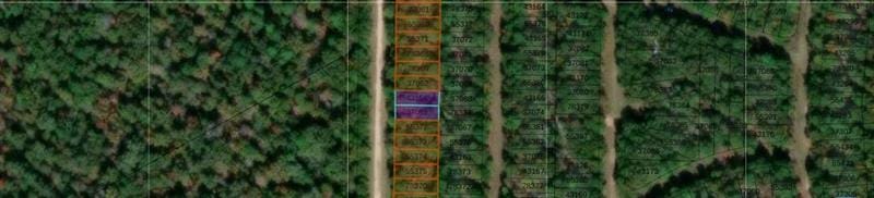 TBD Pineneedle, Livingston, TX 77351 for Sale