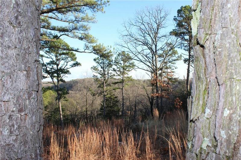 26 PARK DR, Holiday Island, AR 72631 Land For Sale  MLS# 1263299