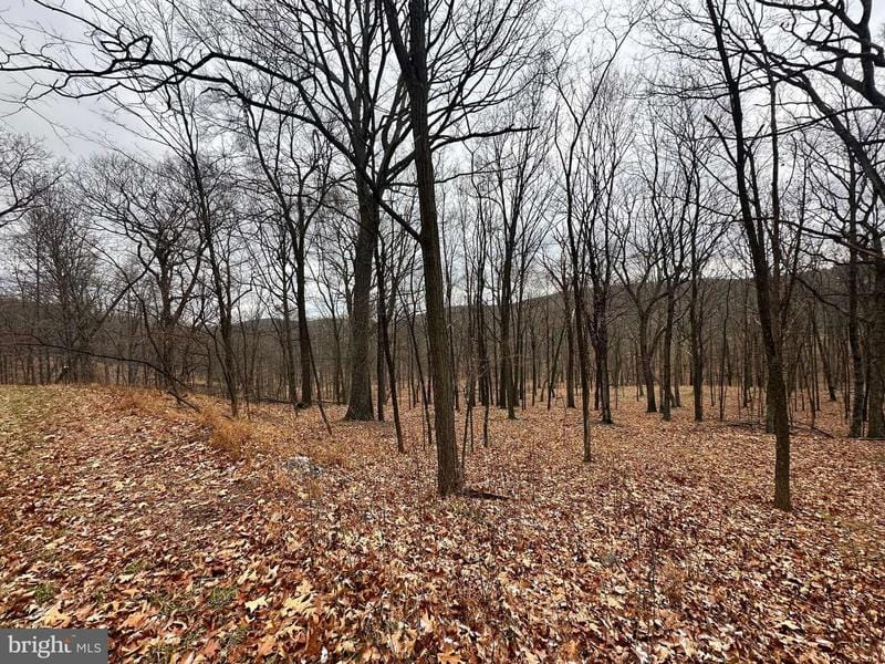 NANCY HANKS DRIVE (LOT #38), NEW CREEK, WV 26743  612653261 for Sale