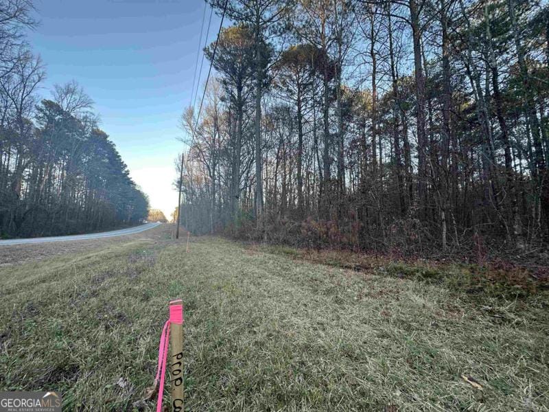 0 MACON HIGHWAY, Bishop, GA 30621 Land For Sale  MLS# 20162425