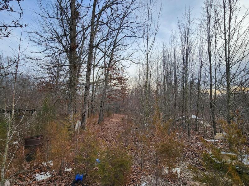 Alton, Oregon County, MO Undeveloped Land for sale Property ID: 418867193