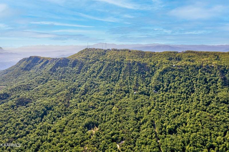 Seymour, Sevier County, TN Undeveloped Land for sale Property ID: 418899941