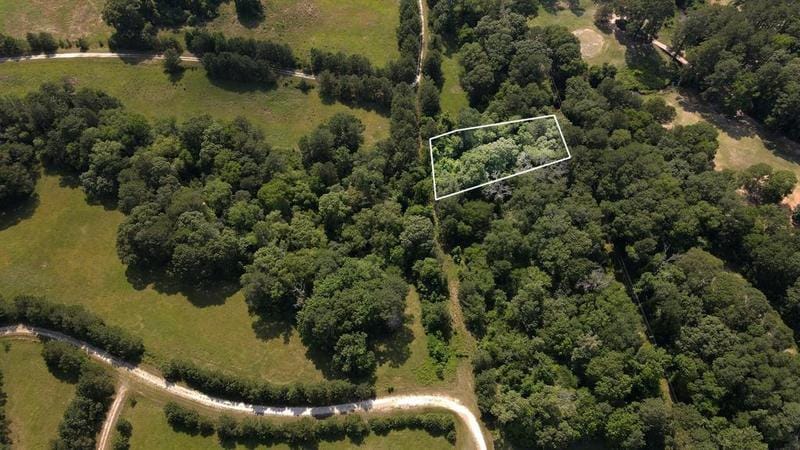 TBD Laura St, Trinity, TX 75862 for Sale