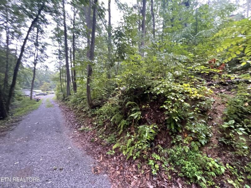 Sevierville, Sevier County, TN Undeveloped Land, Homesites for sale Property ID: 418899918