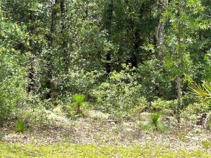 89 Southwest Circle Ocala, Ocala, FL 34473 for Sale