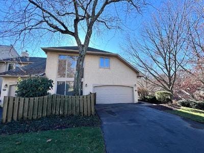 Copper Beech Cir for Sale