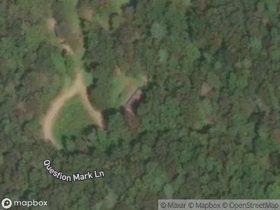 Question Mark Ln for Sale