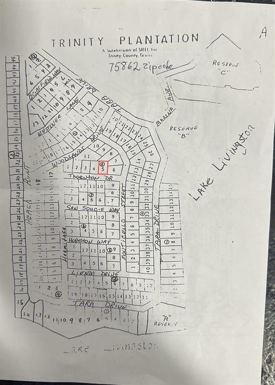 Lot 5 Thornton St, Trinity, TX 75862 for Sale
