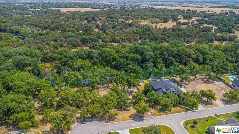 1015 Rivers Edge Drive, Belton, TX 76513 for Sale